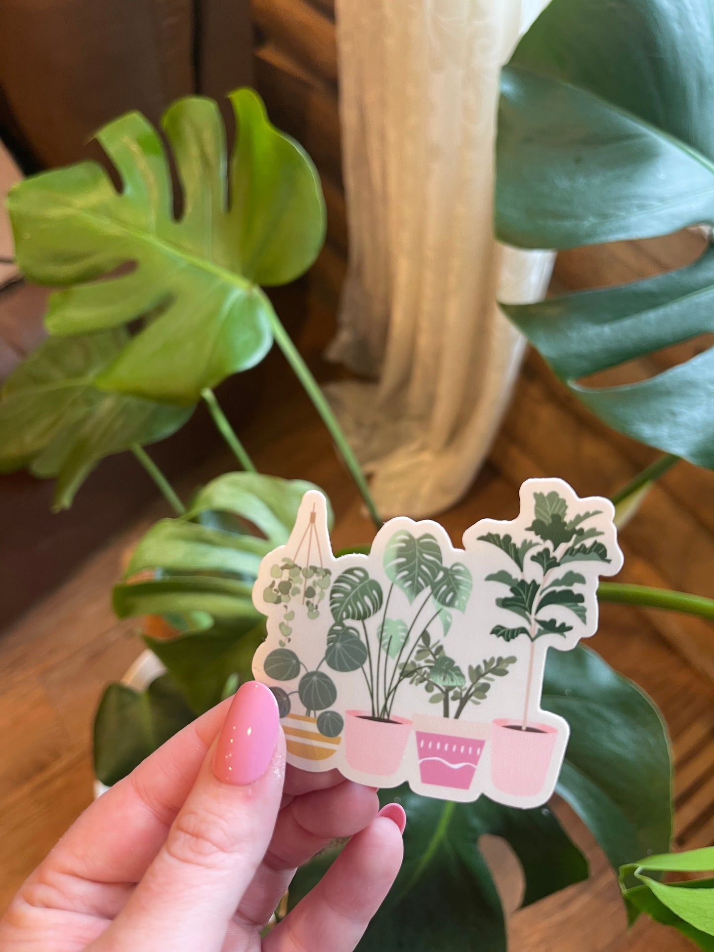 Plant Stickers 🌿