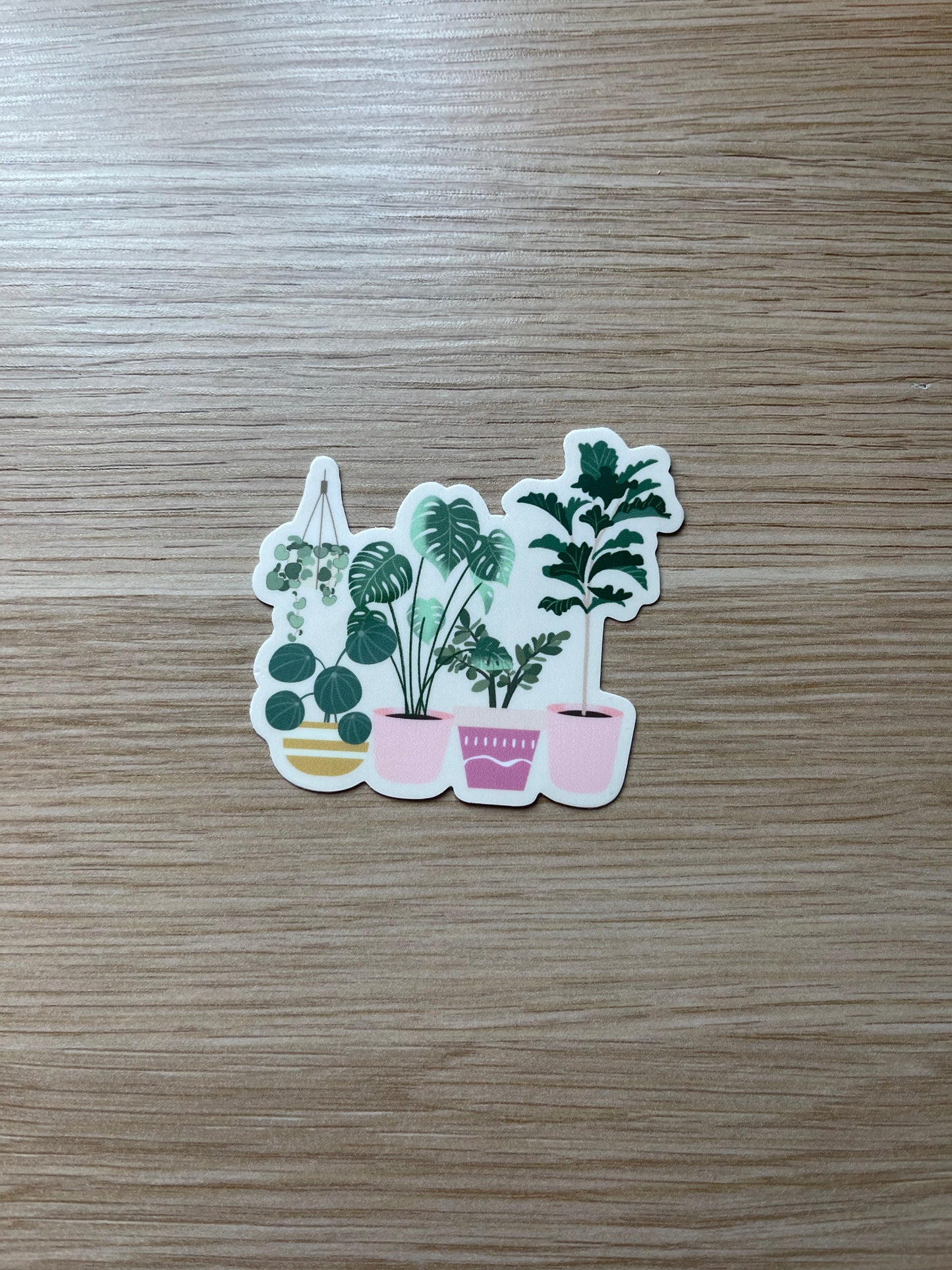 Plant Stickers 🌿