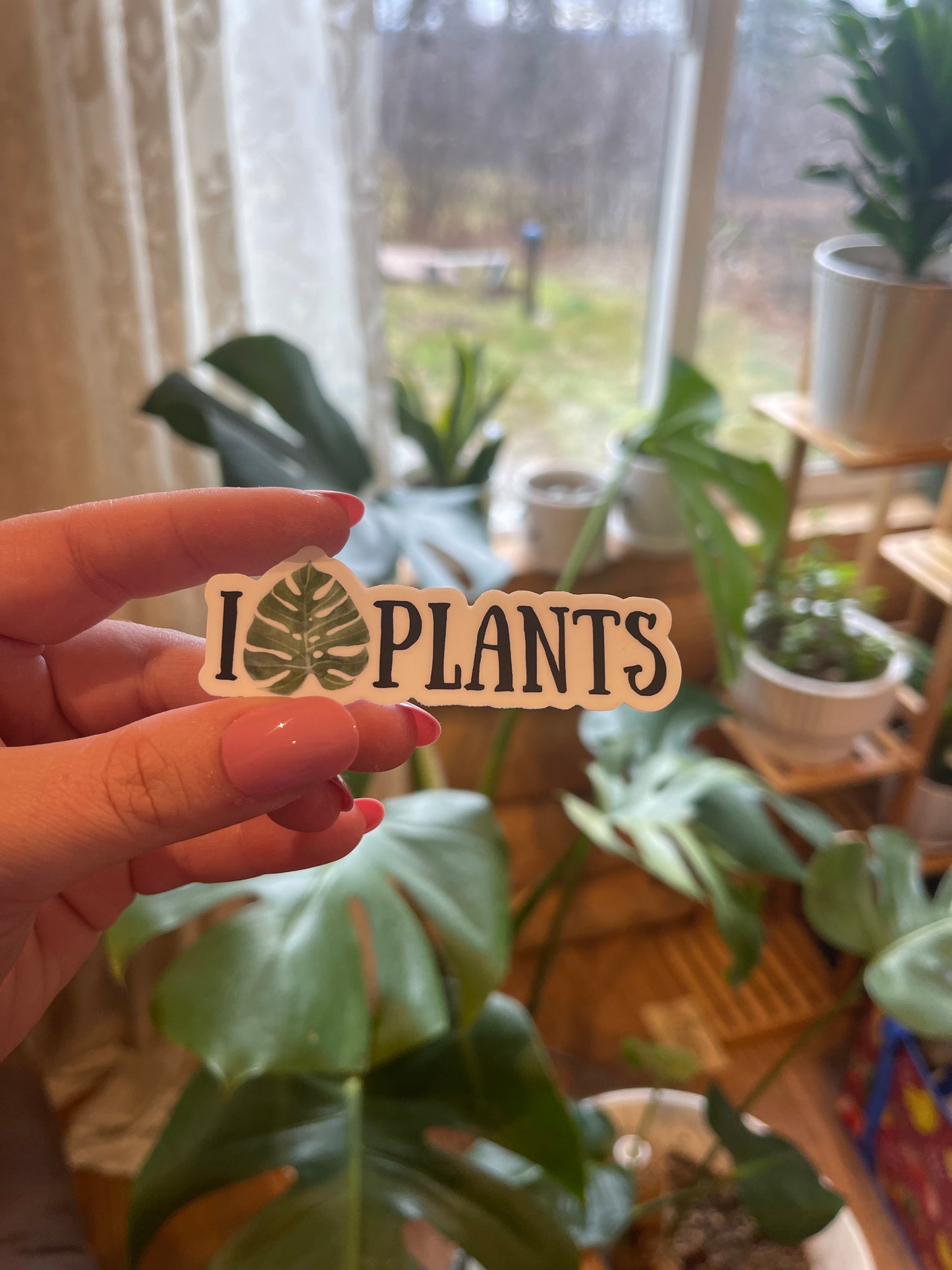 Plant Stickers 🌿